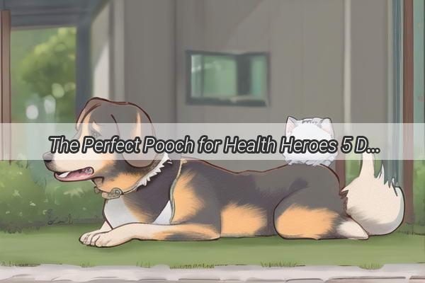 The Perfect Pooch for Health Heroes 5 Dog Breeds Perfect for Healthcare Workers